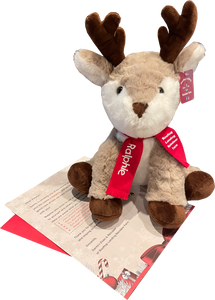 Custom Letter And Reindeer From Santa