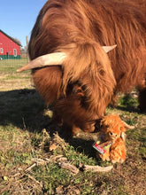 Load image into Gallery viewer, Derby Plush Highland Cow
